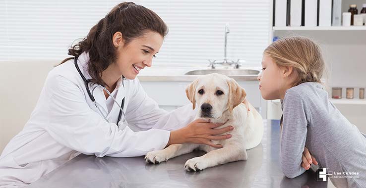 9 preguntas que debemos hacerle a nuestro veterinario